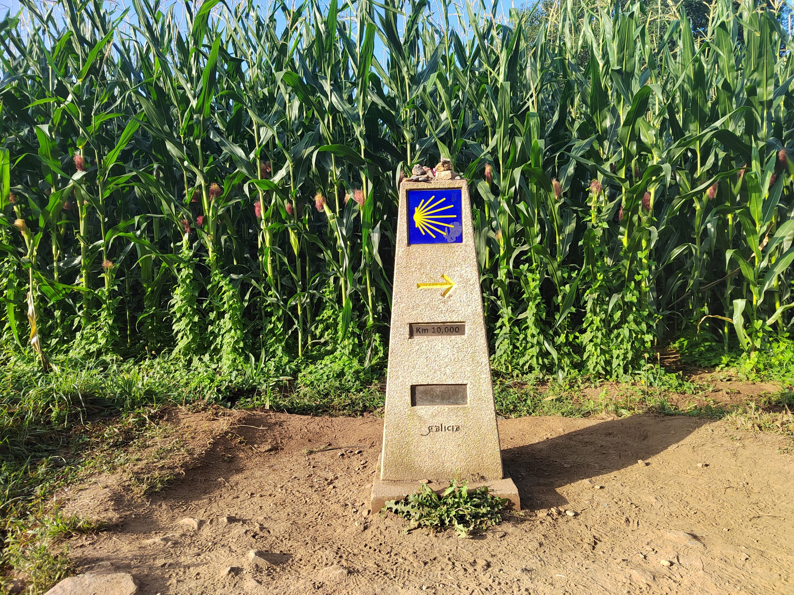 Группа Алекса Крамера на маршруте Camino Francés