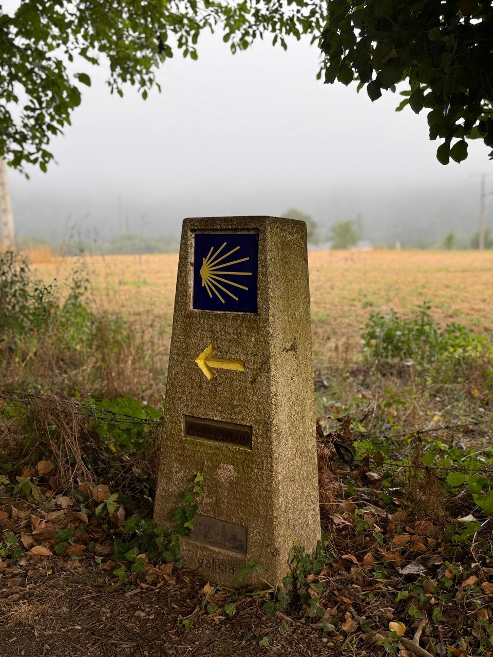 Фото с маршрута Camino de Santiago в Галисии